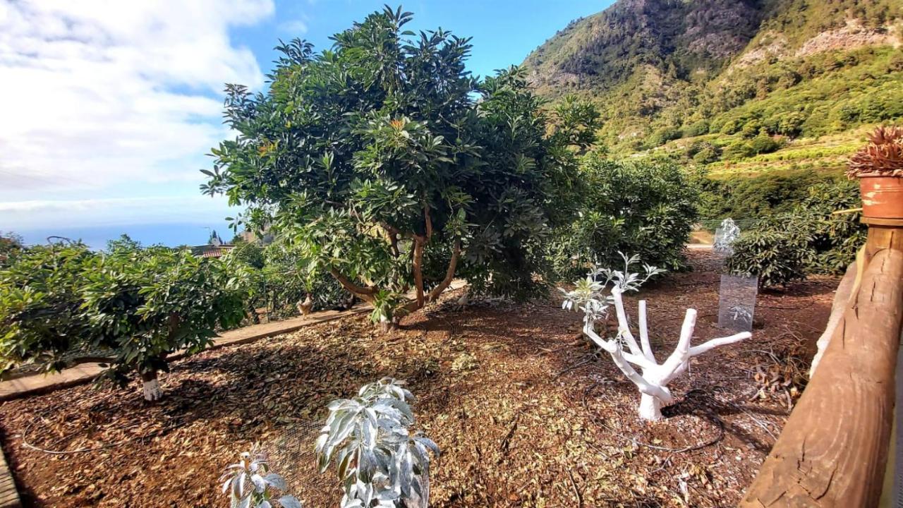 Casa Rural La Resbala - Casa Verde لا أوروتافا المظهر الخارجي الصورة