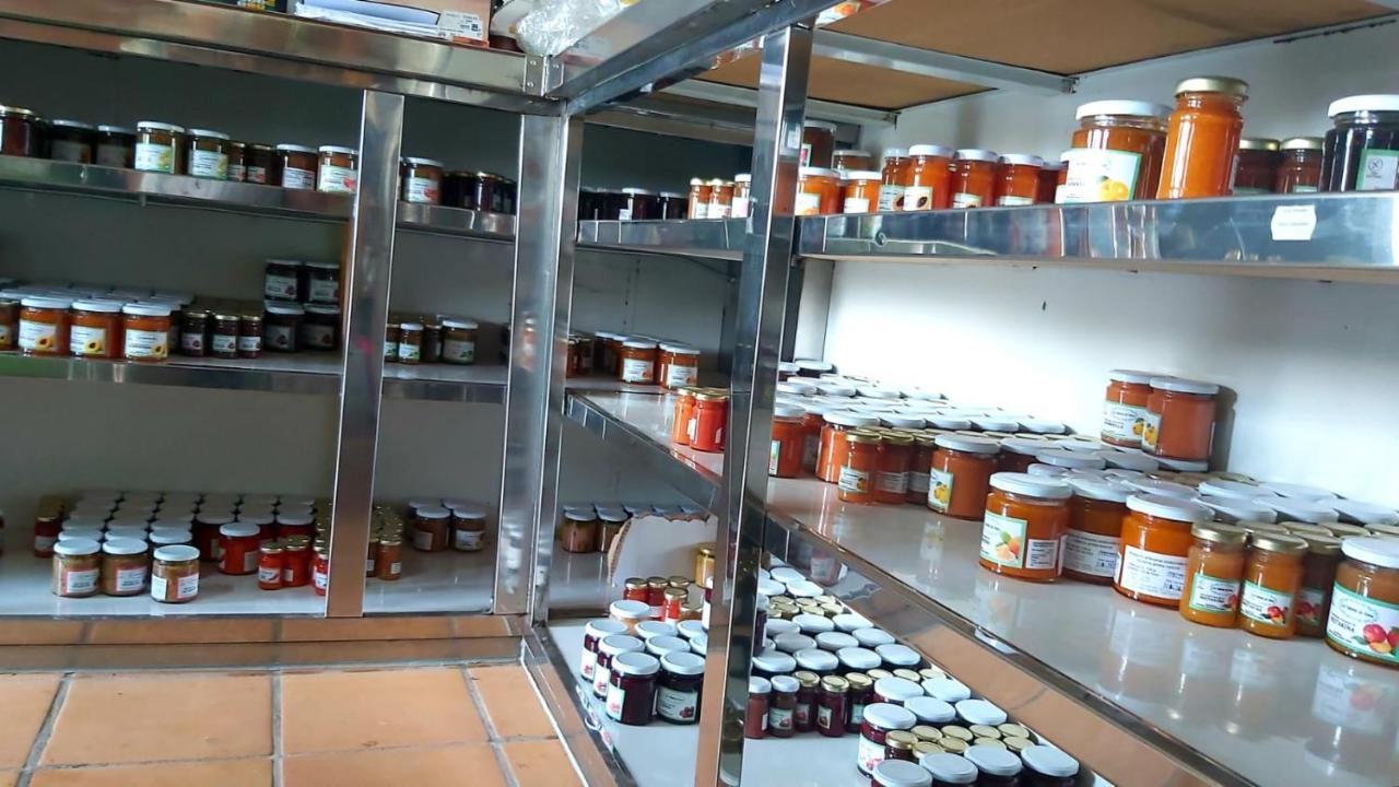 Casa Rural La Resbala - Casa Verde لا أوروتافا المظهر الخارجي الصورة